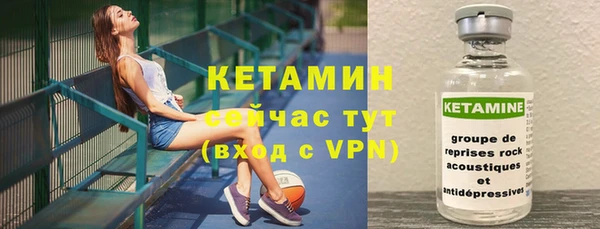 индика Белокуриха