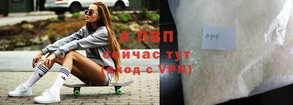ГАЛЛЮЦИНОГЕННЫЕ ГРИБЫ Белоозёрский
