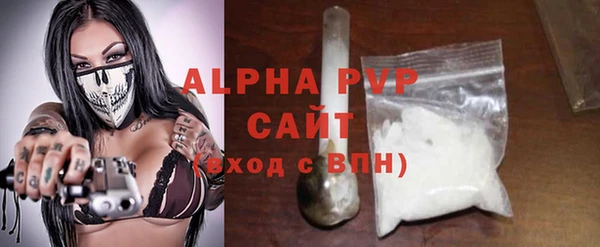 индика Белокуриха