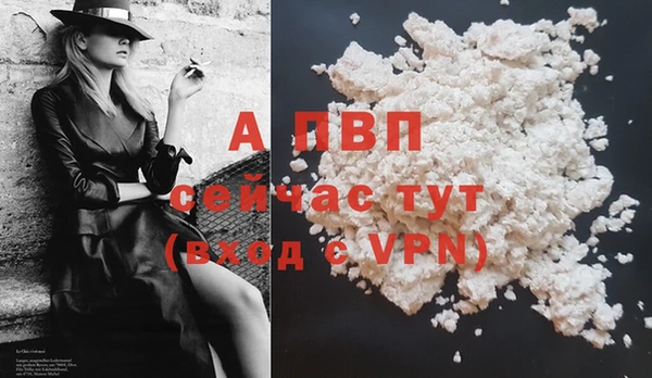 индика Белокуриха