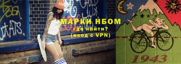 ПСИЛОЦИБИНОВЫЕ ГРИБЫ Осинники