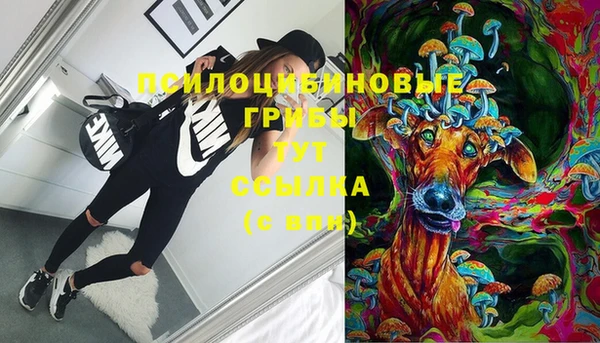 тгк Беломорск