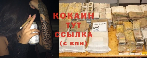 индика Белокуриха